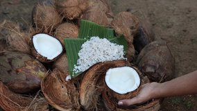 Woman hand taking fresh grated coconut to prepare homemade thick coconut milk 4K reverse slow motion video Kerala India , Indian Kitchen, ingredient in Indian curry. vegan non dairy health drink.