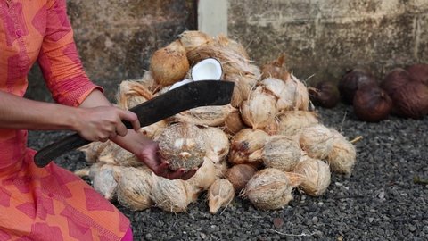 Woman breaking fresh raw organic coconut with knife, cut open in half coconut water splash heap of many coconuts 4K slow motion video , footage in coconut plantation. A lot of fresh coco Kerala India.