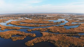 Top view of the beautiful Samarskie Plavni on the Dnieper with a village nearby in the warm evening light. Aerial UHD 4K drone realtime video, shot in 10bit HLG and colorized