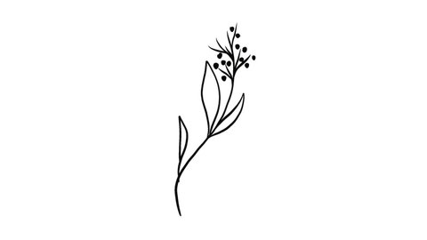 Flower Grows Hand Drawn Cartoon Animation Stock Footage Video (100% ...