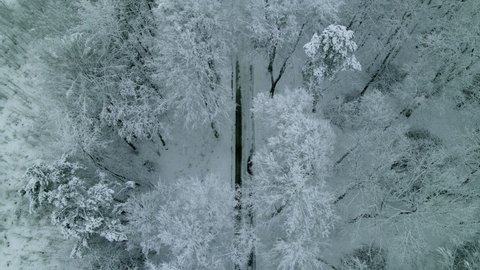 Frosted flora of Pieszkowo Poland forest harsh winter aerial