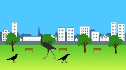 Animation with birds walking in the city (seamless loop)