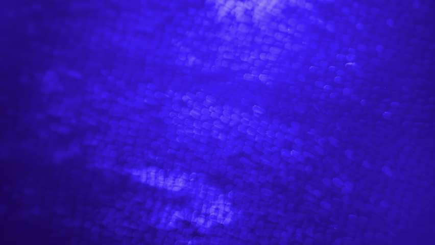 Butterfly Wing at Microscopic Magnification. Super bright colors with amazing small particles. Scales and Flakes. Blue and Green pseudo colors