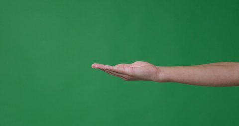 Man showing open palm of hands over green screen
