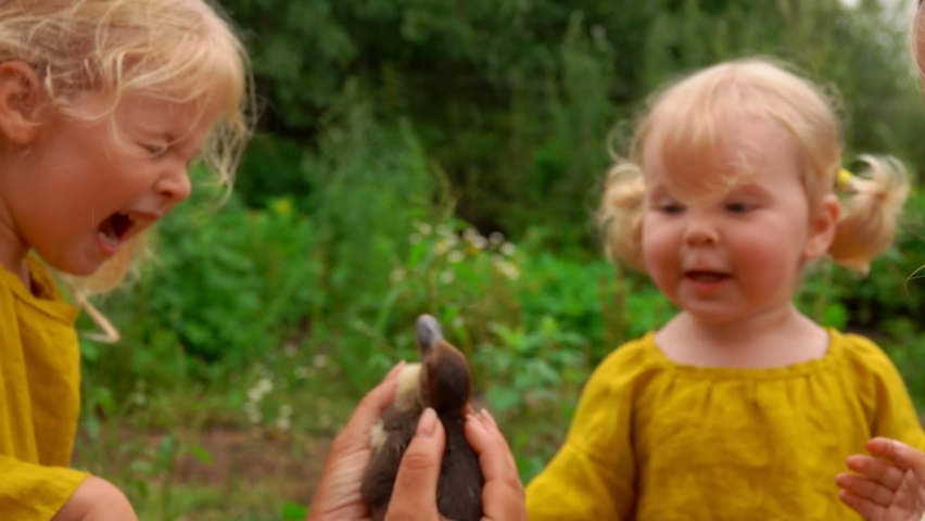 Cute little blond girl is scared of the little duckling outdoors on the village farm