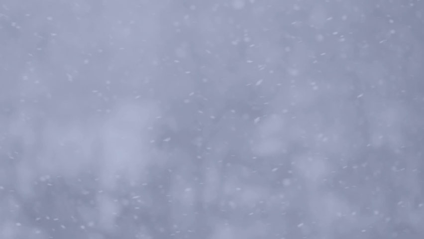 Beautiful snowy Christmas weather in city. Closeup view slow motion video of white fresh snowflakes falling down outdoor in winter | Shutterstock HD Video #1066201156