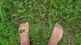 Closeup top view 4k video of two female bearfoot legs isolated on green grass background