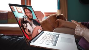 Closeup of laptop screen on womans lap with dog looking on of man talking with Husky dog. Remote video chat concept.