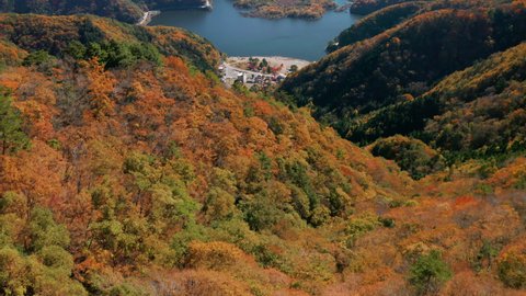 Aerial Shot of Mt.Fuji and Lake Shoji 
 in Autumn Season