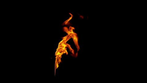 Burning Fire Bonfire Closeup Of の動画素材 ロイヤリティフリー Shutterstock