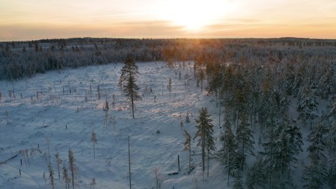 Spectacular Aerial Footage Of Sunset over Snow Covered Forest Landscape In Northern Sweden