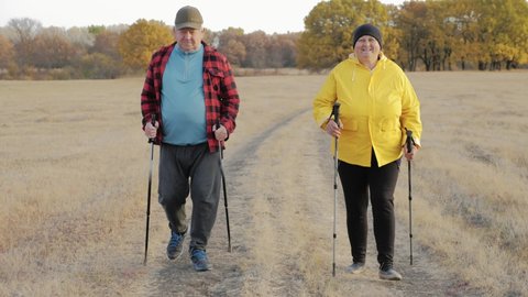 Mature couple Nordic walking on the pathway in the meadow.