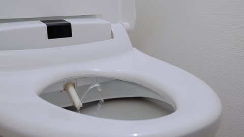 Toilet with Sanitary Bidet Water Sprayer. Installed So as to be More hygienic and use less toilet paper. Electronic Toilet popular in Japanese public facilities and general houses