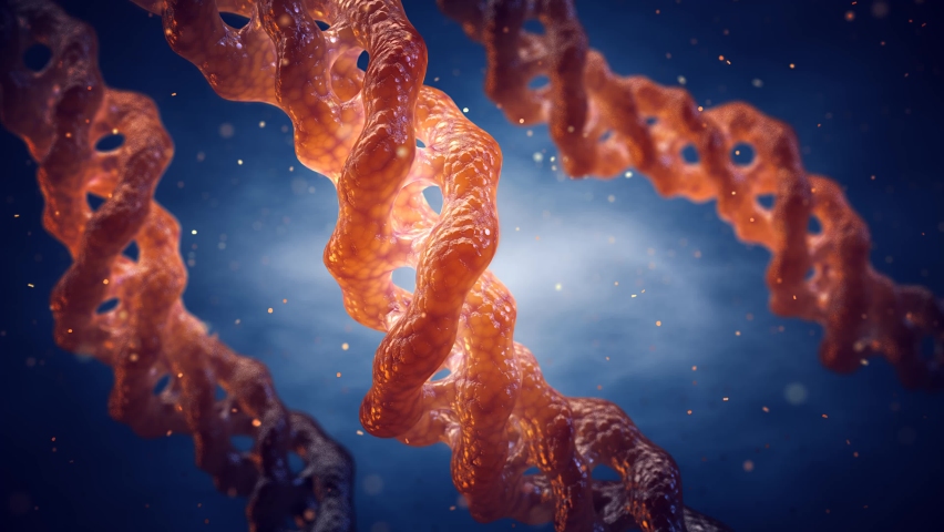 3D render animation of Collagen triple helix molecules, Collagen is the main component of bones, skin, muscle and tendons Royalty-Free Stock Footage #1066255129