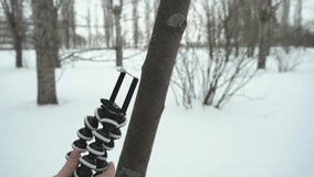 Girl blogger sets a flexible tripod on a tree branch in winter.