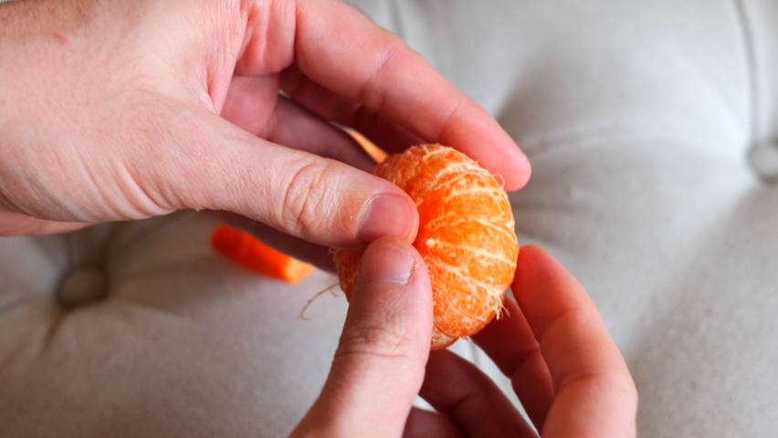 Preparing segments of a clementine to eat