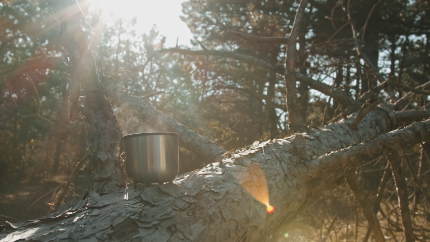 Cup on a wooden hemp with a got tea. Forest on the background. Outdoor
