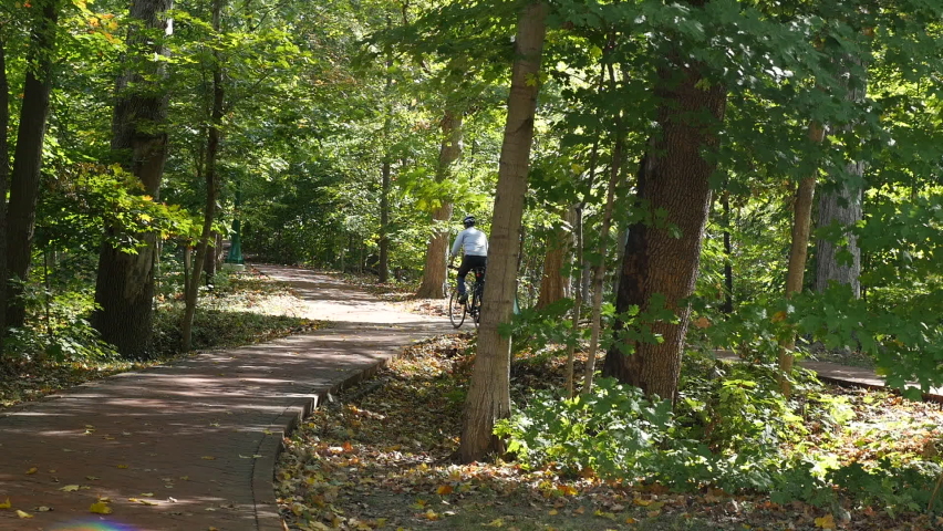 People walking and cycling through a shaded wooded area on a brick path