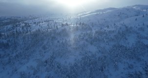 Epic drone aerial footage of mountains in Norway. Forest covered with snow. Blue hour in Bortelid during winter time 2021.