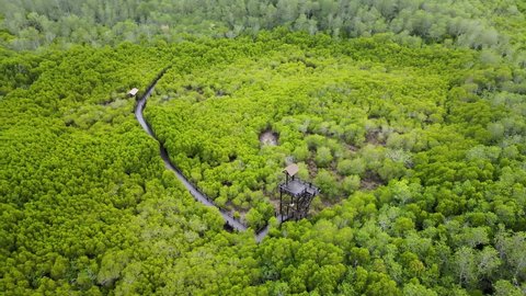 Scenic, 4k aerial drone footage of the Hua Hin Pran Buri forest in Thailand.