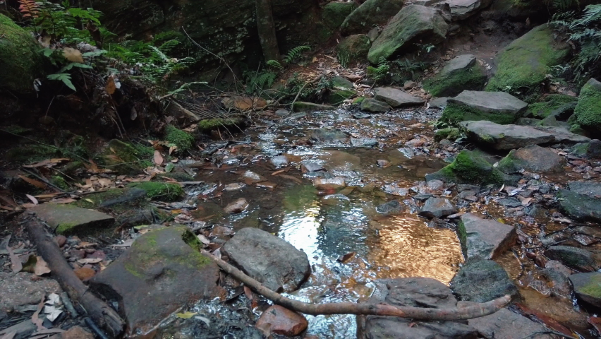 Fresh water stream in the Blue Mountains of Australia -tilt down