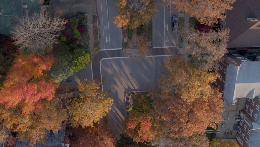Dynamic aerial over Wydown Boulevard in Clayton in St. Louis, Missouri on a beautiful Fall day with trees in peak color and a pretty blue sky with a tilt up and pull back.