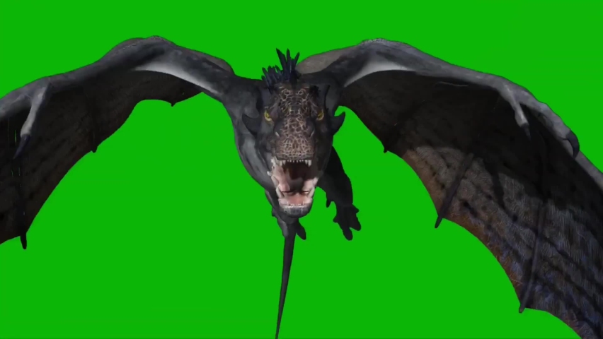 Dragon Flying on Green Screen | Shutterstock HD Video #1066343338