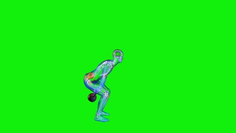 Athlete X-Ray Lifting A Kettlebell, Loop, Focus On Pain Area, Green Screen Chromakey