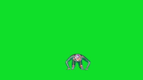 Human x-ray body and skeleton doing burpees loop, Green Screen
