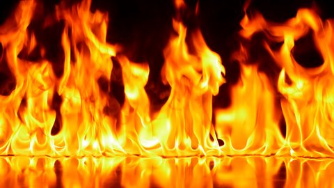 Fire Flames Igniting And Burning - Uktda HD 4KSlow Motion. A line of real flames ignites on a black background. Real fire. Transparent background. PNG + Alpha.