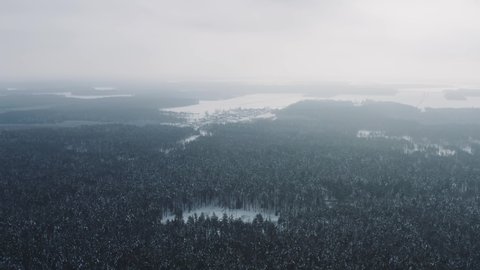 Aerial cinematic shot hilly winter forest with tall pine trees. Top view flyover beautiful woodland, clouds of fog moving over treetops. Mist, foggy day. Panoramic view, natural background