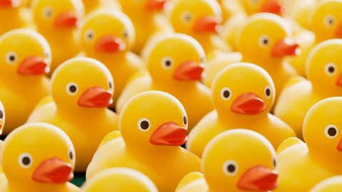 Seamless loop footage of rubber ducks. Cute yellow toys arranged in rows faced and jump in one direction. Plastic ducklings ready for child's fun in the bath. Symbol of play in the water while bathing