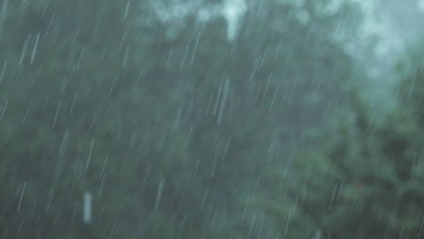 heavy rain on a dark stormy summer day. slow motion shot - seamless loop