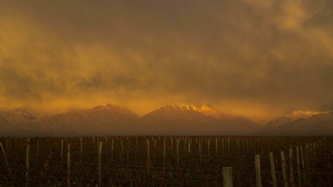 4K UHD beautiful sunrise Time lapse shot of Mendoza vineyards at the base of the mountain range. 