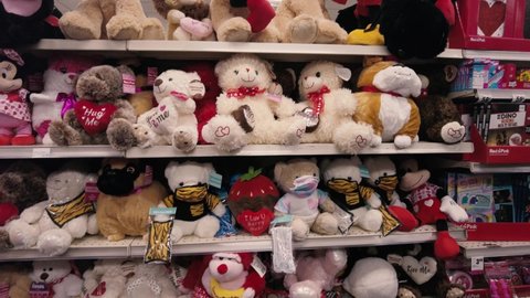Plush Teddy Bears Stuffed Animal Display Stock Footage Video (100%  Royalty-free) 1066389604 | Shutterstock
