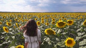 Gimbal slow motion follow up girl people walks through sunny field high yellow sunflowers enjoys admiring nature. Emotional agriculture landscape. Blue sky, white clouds. Inspiration positive footage