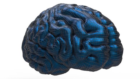 3D Blue Brain Black Filigree Turn 3D Animation Alpha channel is included