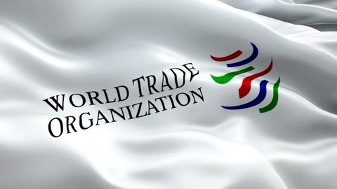 World Trade Organization waving flag. National 3d WTO flag waving. Sign of WTO seamless loop animation. World Trade Organization Flag Looping Closeup 1080p Full HD 1920X1080 footage-Moscow,1 May 2020
