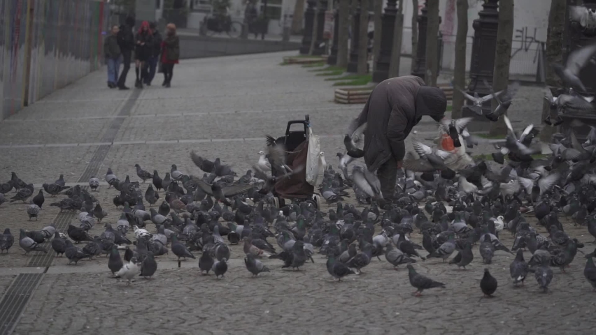 Homeless man feeds pigeons and interacts with her in a neighborhood in the center of Paris