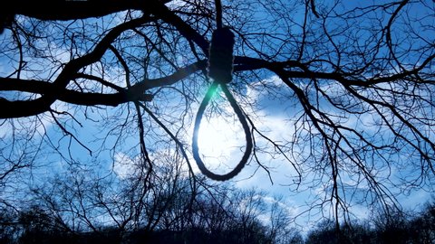 Hangman's knot or noose. Loop, rope hanging from a tree in the forest, blue sky and sun. Seeing hope before commiting suicide. Depression, too much stress, death. 
