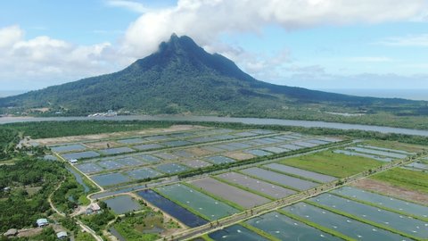 Aerial view of a fishery and prawn farm in Santubong area of Sarawak, Malaysia