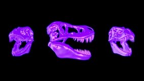 Dinosaur rex skull 3d render