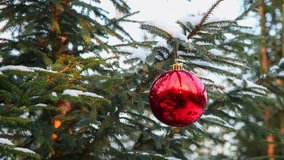 Red glass bauble hangs on the branch of Christmas tree covered with snow in the forest. Outdoor Christmas celebration theme.