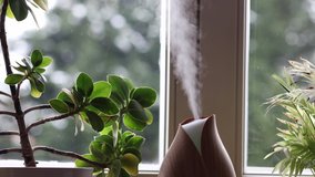 Wooden Colorful Diffuser with Home Plants and Snow Falling Outside the Window. Indoors Decoration with Air Humidification. - Powered by Shutterstock - Get 15% off with code: PIKWIZARD15