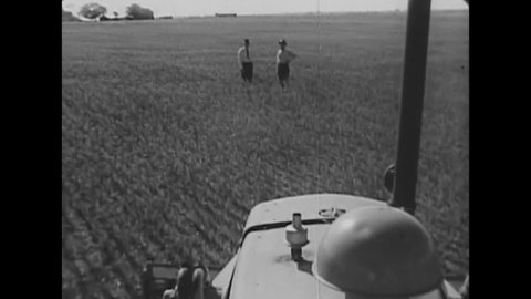CIRCA 1950s - A bulldozer levels a wheat field to make room for oil-digging gear, such as the rattle-digger - whose progress is stopped by quicksand.