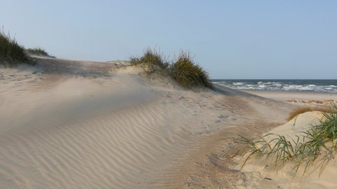 Sand blowing on the Baltic sea beach  from a large dune on windy and sunny day in summer. 