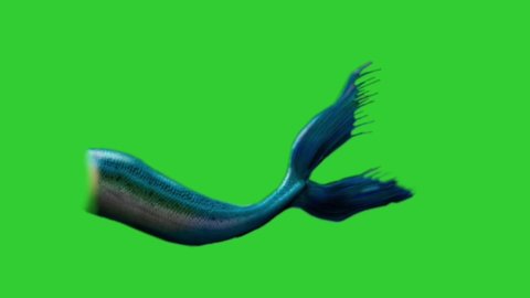 4K 3D Animation Mermaid Tail Moving and fliiping On A Green Screen Pack of three tails.