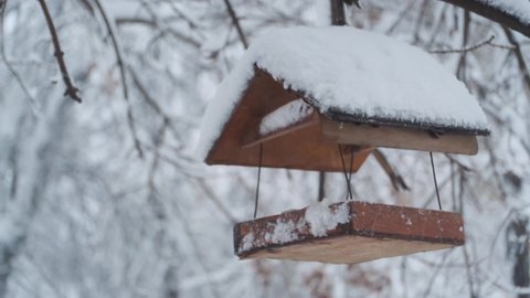 Bird house under snow swaying to the wind, on background of a snowfall