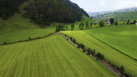 Aerial zoom in over a river from a wide green intense field at the side of a forest in Switzerland. 