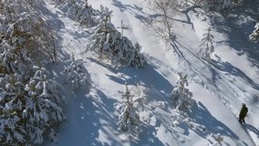 Drone view of a local man. hiking up a steep. snowy slope amongst pine trees in a Russian forest wilderness.